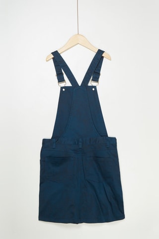 Tuinjurk  Blauw