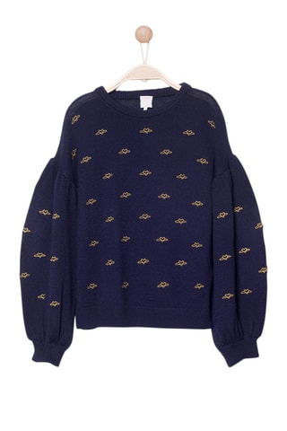 Wollen Trui Meteory Marineblauw en Mosterdgeel Karl Marc John