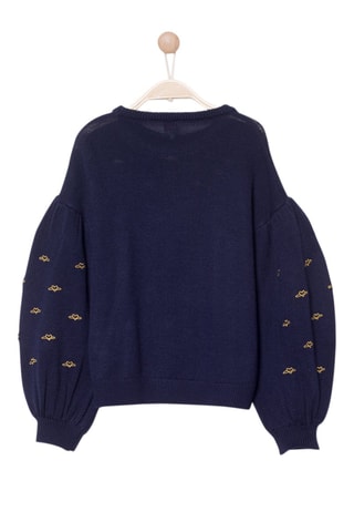 Wollen Trui Meteory Marineblauw en Mosterdgeel Karl Marc John