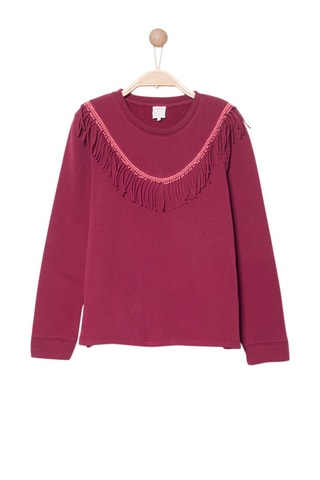 Sweater Scoty Bordeauxrood - Karl Marc John