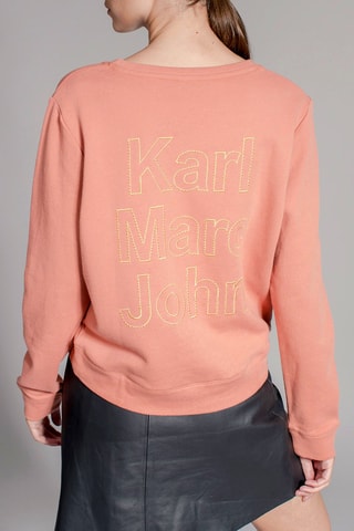 Sweater Seth Roze