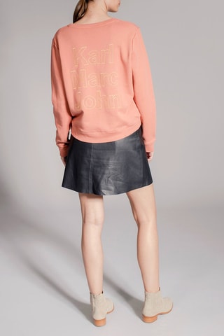 Sweater Seth Roze