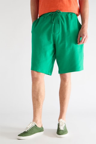 Bermuda - Vert