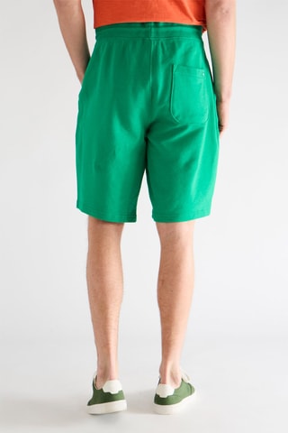 Bermuda - Vert
