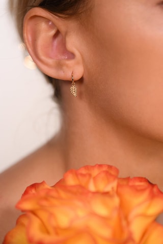 Boucles d'oreilles Feuillage doré - Or jaune