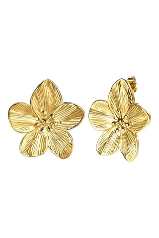 Boucles d’oreilles - Plaqué or jaune