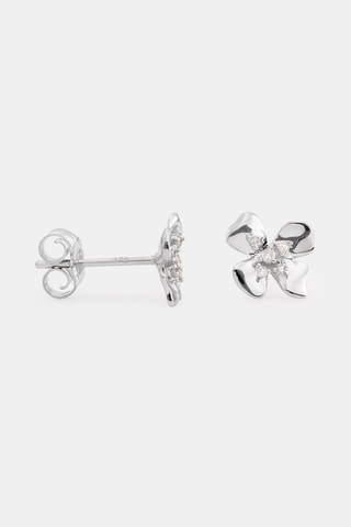 Puces - Or blanc et diamants