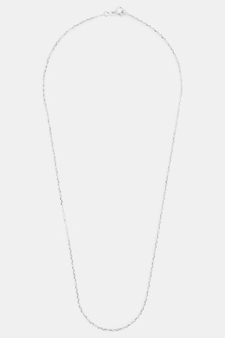 Chaîne - Or blanc
