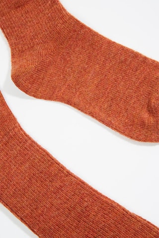 3 paires de chaussettes - Rouge brique