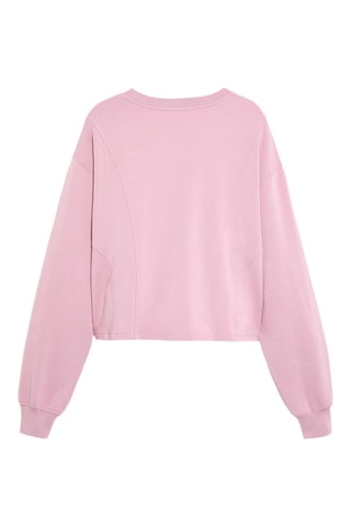 Sweat - Rose