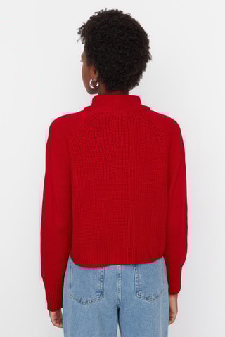 Trui Rood