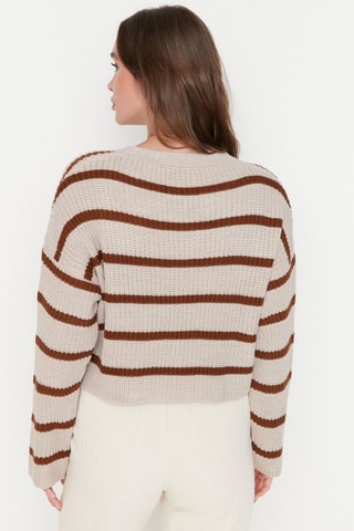 Trui - Beige en Bruin