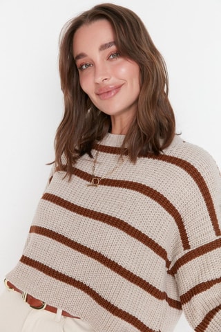 Trui - Beige en Bruin