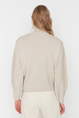 Trui Beige