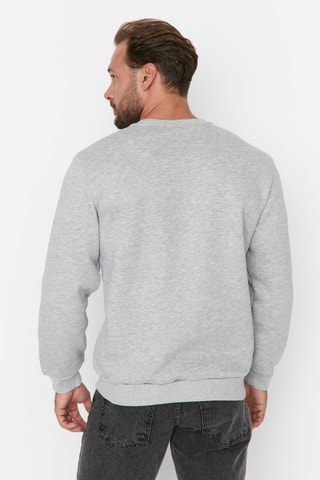 Sweater Regular Fit - Lichtgrijs