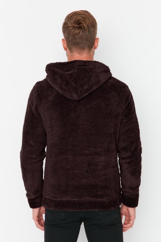 Sweater regular met capuchon - Bruin