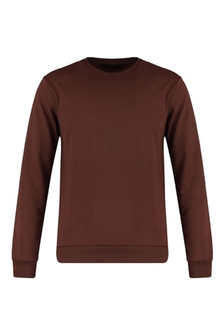 Sweater Regular Fit - Bruin