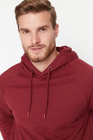Sweater regular met capuchon - Bordeauxrood