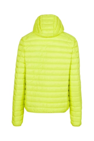 Gewatteerde Jas Slim Fit met Capuchon Nico - Limoengroen