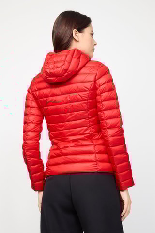 Gewatteerde Jas met Capuchon Cloe - Rood