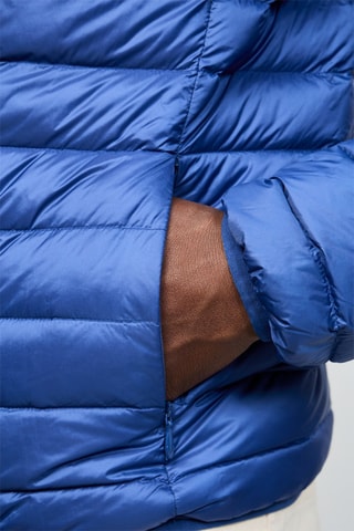 Gewatteerde Jas met Capuchon Nico - Marineblauw