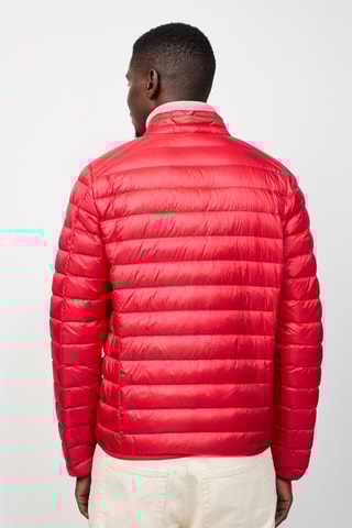 Gewatteerde Jas Light Mat  - Rood