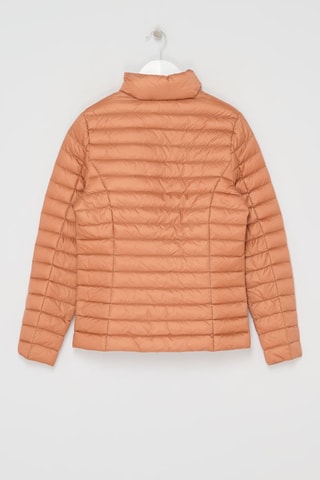 Gewatteerde Jas Lou - Camel