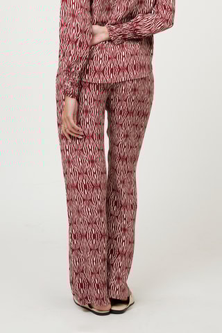 Broek Flare Cut - Bordeauxrood