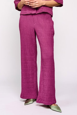 Broek Hoge Taille - Fuchsia
