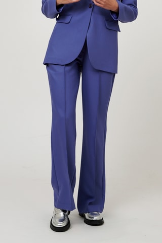 Broek Flare Cut - Blauwpaars