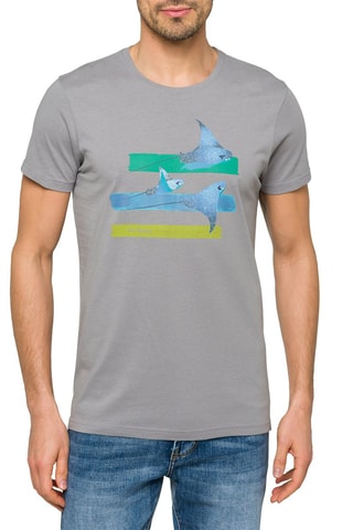 T-shirt regular Wings - Lichtgrijs