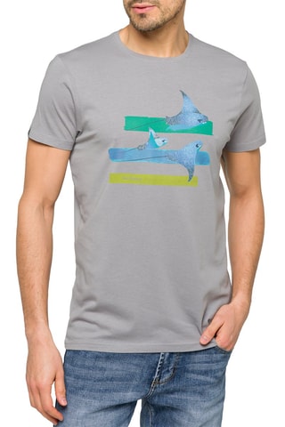 T-shirt regular Wings - Lichtgrijs