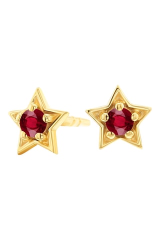 Puces - Or jaune et rubis