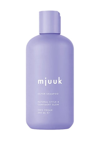 Shampoo Silver - Blond Haar - 250 ml