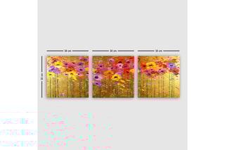 Triptyque - 30 x 30 cm