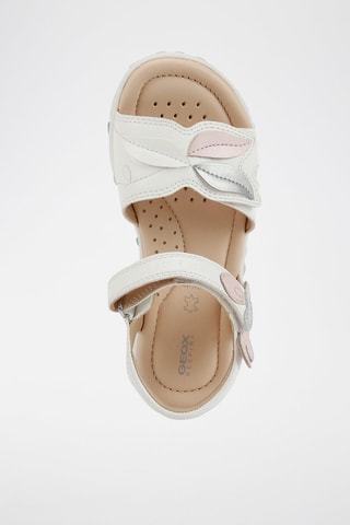 Sandales Haiti - Blanc et rose