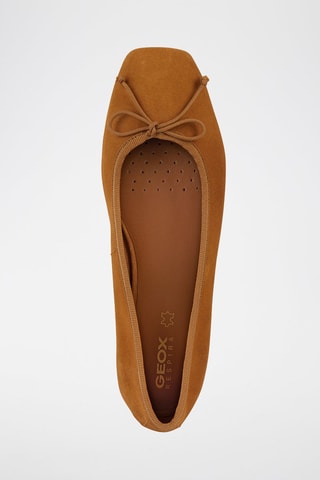 Ballerines en nubuck Marsilea - Marron