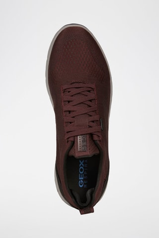 Baskets Spherica 4X4 Bordeaux