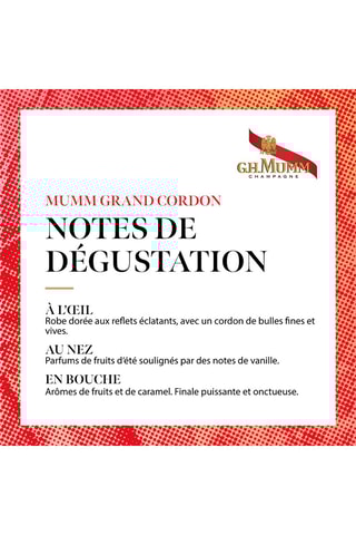 Magnum Grand Cordon - G.H Mumm - 1,5 l