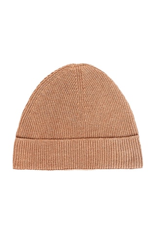 Muts - Camel