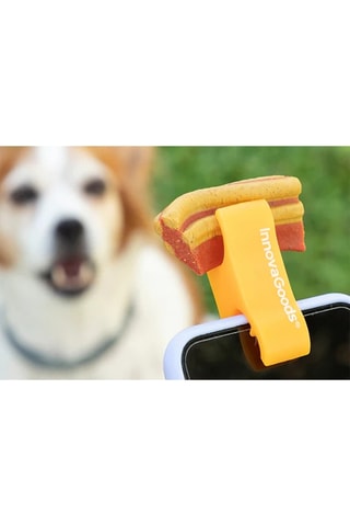 Set Hangmat en Selfiestick voor Katten