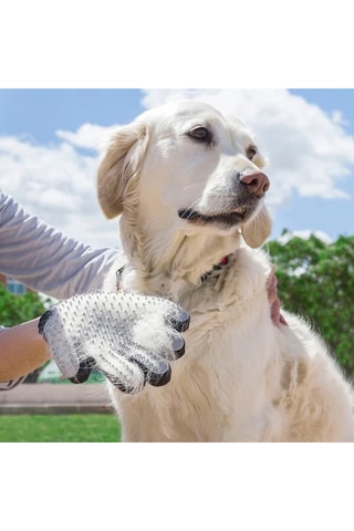 Set Borstelhandschoen en Intrekbare Leiband voor Dieren