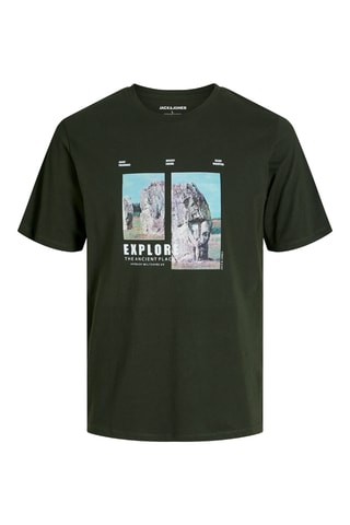 T-shirt - Kaki
