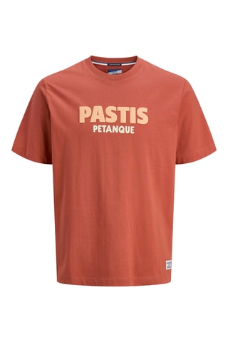 T-shirt en coton biologique - Marron