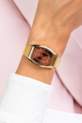 Montre à quartz en acier - Doré et marron - Frederic Graff