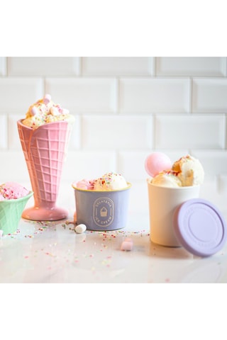4 IJsbakken Gelatéria - 22 cl