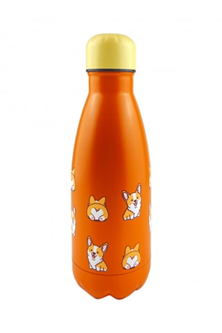 Roestvrijstalen Thermosbidon Happy Bottle