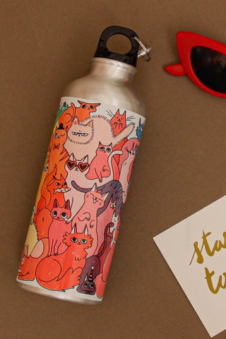 Gourde Changing Color Cats - 50 cl