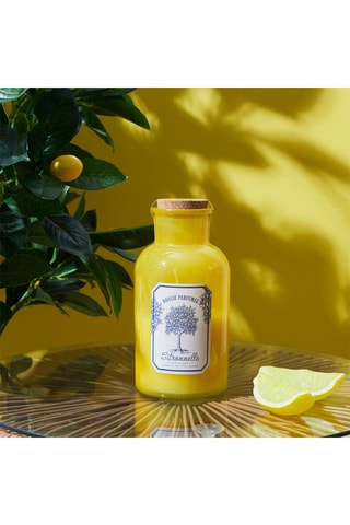 Bougie parfumée - Citronelle