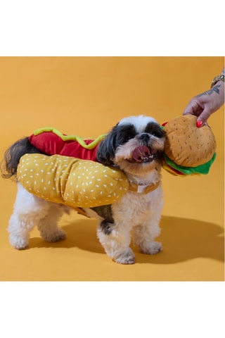 Déguisement pour chien - Jaune et rouge